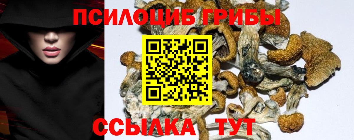Псилоцибиновые грибы Cubensis  Галлюциногенные грибы ЛСД  Великий Устюг  Вход с VPN 